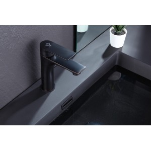 Delta Siyah Lavabo Bataryası