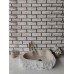 Traverten Naturel Elips Mermer Lavabo